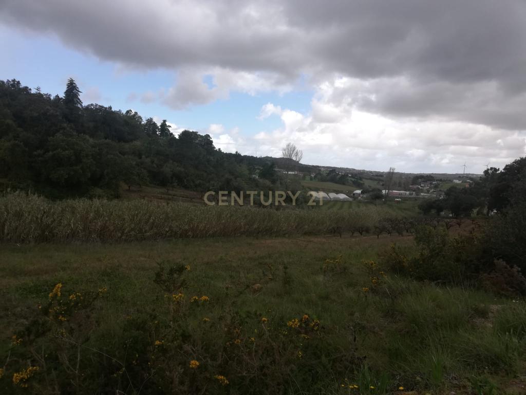  Terreno Agrícola na Zona Oeste - Image 1